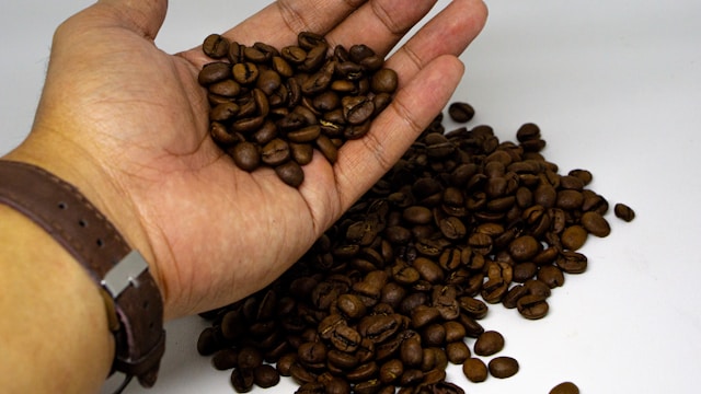 Best Coffee Maker Deals Canada